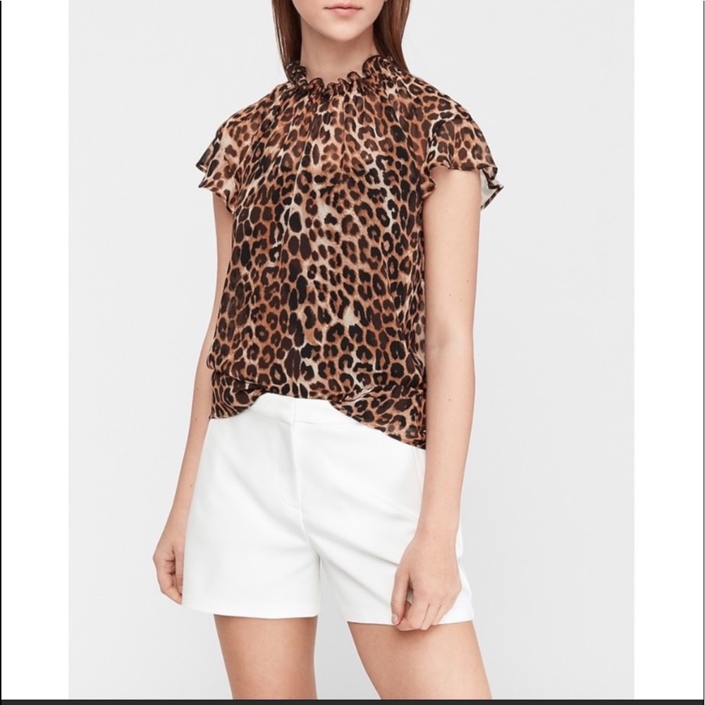 Express Leopard Print Ruffle Mock Neck Sheer Top